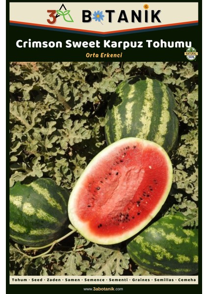 3A Botanik Crimson Sweet Karpuz Tohumu, Yerli ve Sürdürülebilir Tohum, 5 Gram Karpuz Tohumu