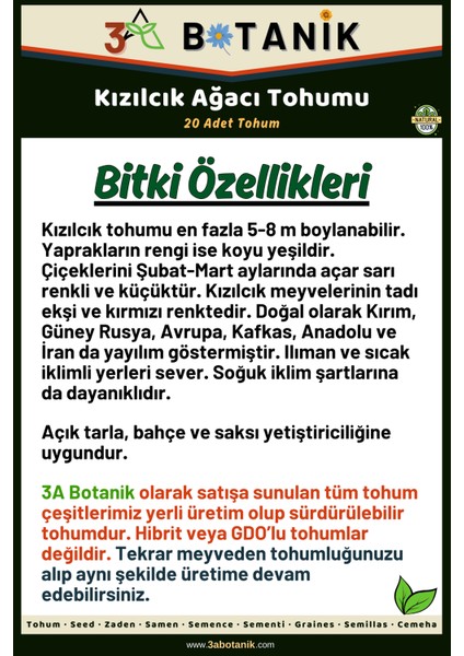 Kızılcık Ağacı Tohumu, 20 Adet Tohum, Cornus Mas