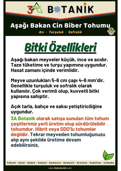 Aşağı Bakan Cin Biber Tohumu, Yerli ve Sürdürülebilir Tohum, 5 Gram Biber Tohumu