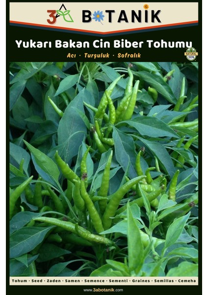 Yukarı Bakan Cin Biber Tohumu, Yerli ve Sürdürülebilir Tohum, 5 Gram Biber Tohumu