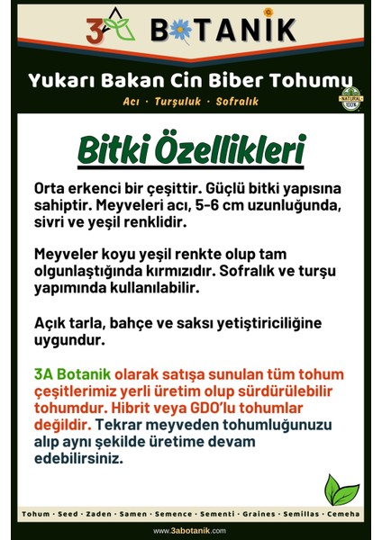 Yukarı Bakan Cin Biber Tohumu, Yerli ve Sürdürülebilir Tohum, 5 Gram Biber Tohumu