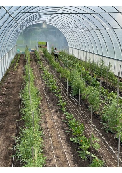8X20 Mt, 36 Ay, 400 Micron, Ultra Kalın, Imc Plastik, Full Uv Katkılı Sera Örtüsü Naylonu