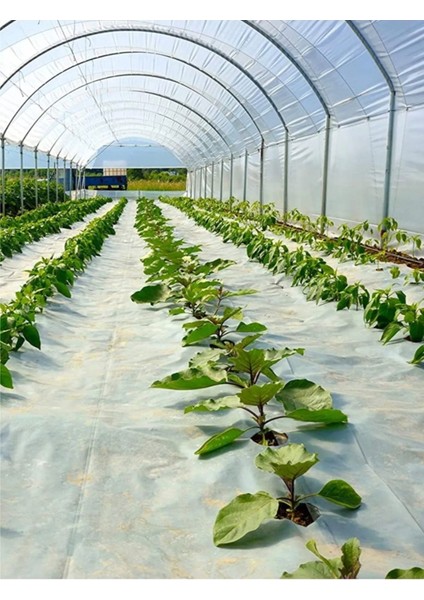 8X20 Mt, 36 Ay, 400 Micron, Ultra Kalın, Imc Plastik, Full Uv Katkılı Sera Örtüsü Naylonu