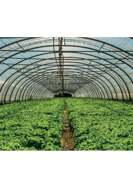 8X20 Mt, 36 Ay, 400 Micron, Ultra Kalın, Imc Plastik, Full Uv Katkılı Sera Örtüsü Naylonu