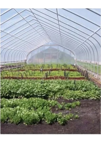 16X30 Mt, 36 Ay, 350 Micron, Ultra Kalın, Imece Plastik, Full Uv Katkılı Sera Örtüsü Naylonu indirimleri