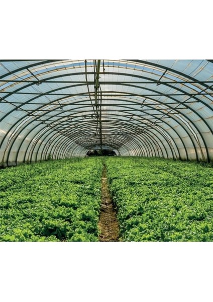 8X25 Mt, 36 Ay, 400 Micron, Ultra Kalın, Imc Plastik, Full Uv Katkılı Sera Örtüsü Naylonu fırsatları