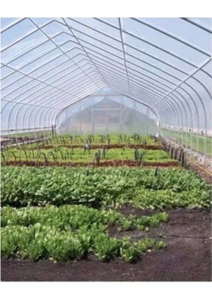 10X25 mt , 36 Ay, Kalın, Uv Katkılı, 350 Mikron Su Geçirmez Sera Örtüsü Naylonu