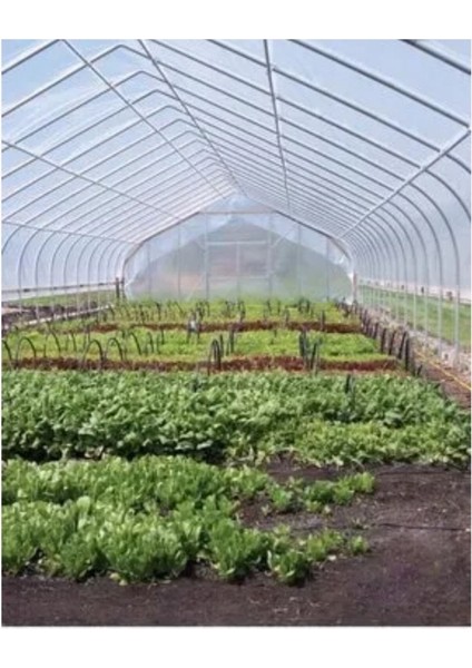 12X30 mt , 36 Ay, Kalın, Uv Katkılı, 350 Mikron Su Geçirmez Sera Örtüsü Naylonu