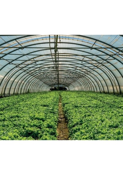 10X15 Mt, 36 Ay, 400 Micron, Ultra Kalın, Imc Plastik, Full Uv Katkılı Sera Örtüsü Naylonu fırsatları