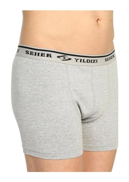 Yıldız 0060 Erkek Elestan Boxer Gri