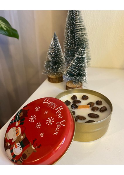 Noel Teneke Mumları fiyatları