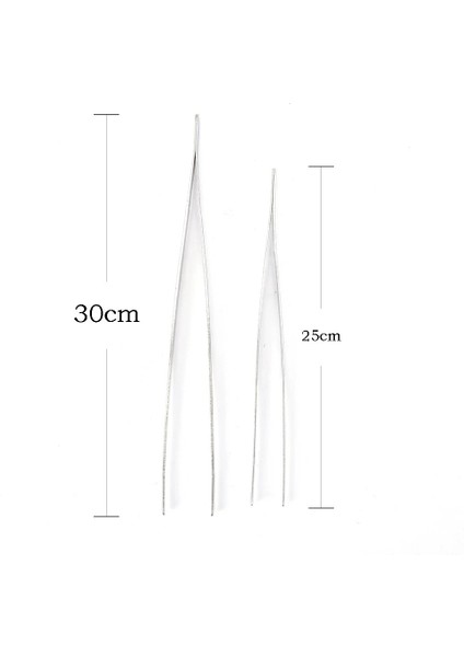 25CM Tarzı .9cm Dişli Cımbız Barbekü Paslanmaz Çelik Uzun Gıda Maşası Düz ​​ev Tıbbi Cımbız Bahçe Mutfak Barbekü Aracı (Yurt Dışından) fırsatları