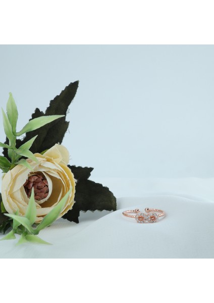 Taşlı Sonsuzluk Yüzük fiyatları