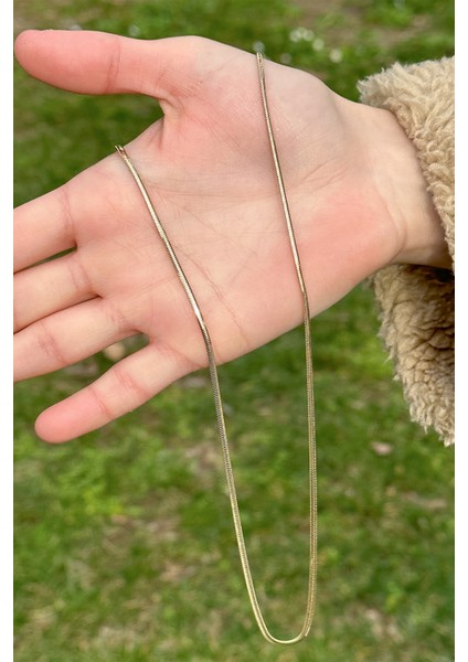 14 Ayar 2 mm Balık Sırtı Altın Kolye 14CGKKLY008