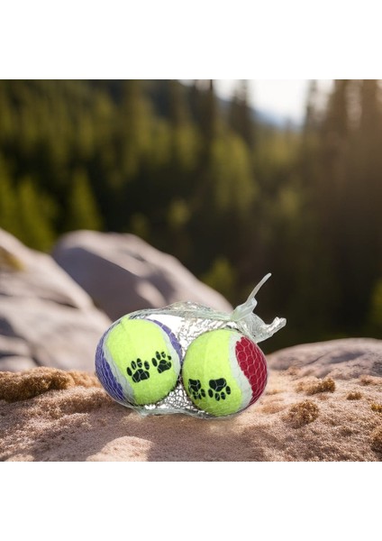 2'li Tenis Topu Köpek Oyuncağı 6 cm