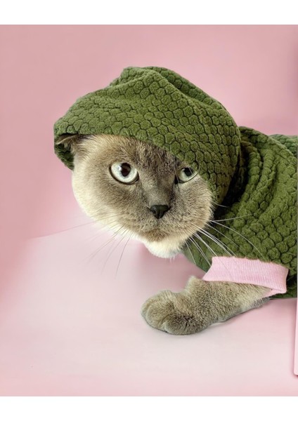 greenco Bunny Kapsonlu Sweatshirt Kedi Elbisesi Süeteri Kedi Kıyafeti modelleri