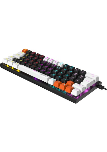 Parley Siyah/beyaz Rainbow Aydınlatmalı Türkçe Q Blue Switch Mekanik Gaming Oyuncu Klavyesi fiyatları