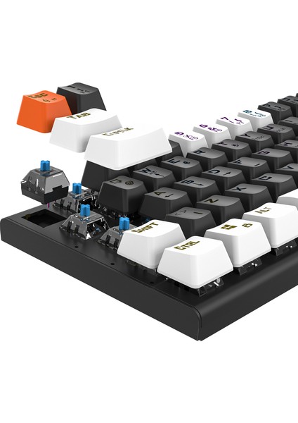 Parley Siyah/beyaz Rainbow Aydınlatmalı Türkçe Q Blue Switch Mekanik Gaming Oyuncu Klavyesi fırsatları