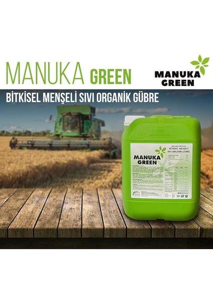 Green 10 Lt