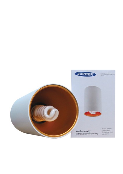 S.ü. Beyaz ve Altın Tavan Armatürü JC073BA