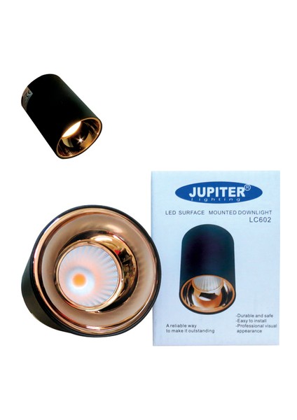 S.ü. Siyah ve Altın LED Tavan Armatürü 3000K LC602S