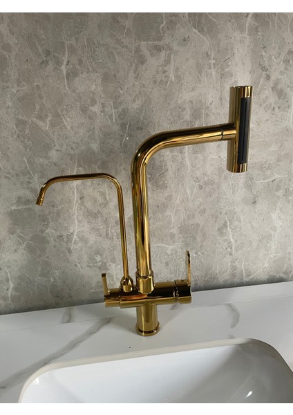 Mutfak Eviye Bataryası Dual Flow Arıtma Çıkışlı Duş Şelale 3 Fonksiyon Gold fırsatları