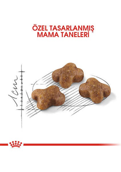 Kitten Yavru Kedi Maması 2 kg