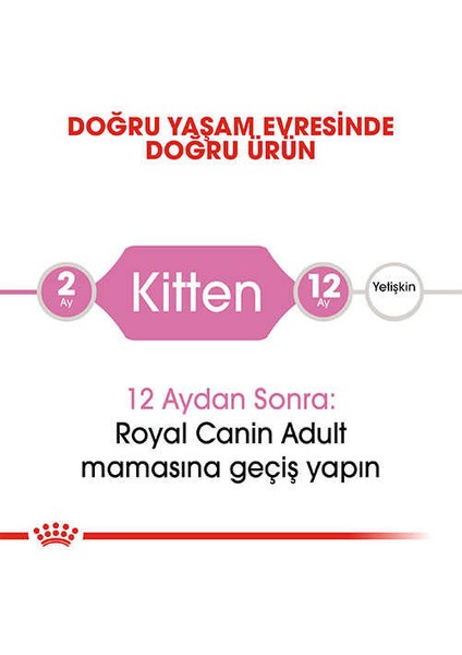 Kitten Yavru Kedi Maması 2 kg