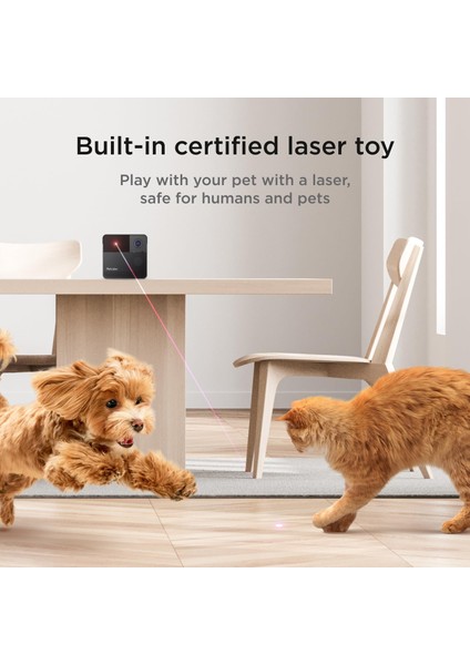 Play 2 Wi-Fi Evcil Hayvan Kamerası, Lazer Oyuncaklı - Kedi ve Köpek Için