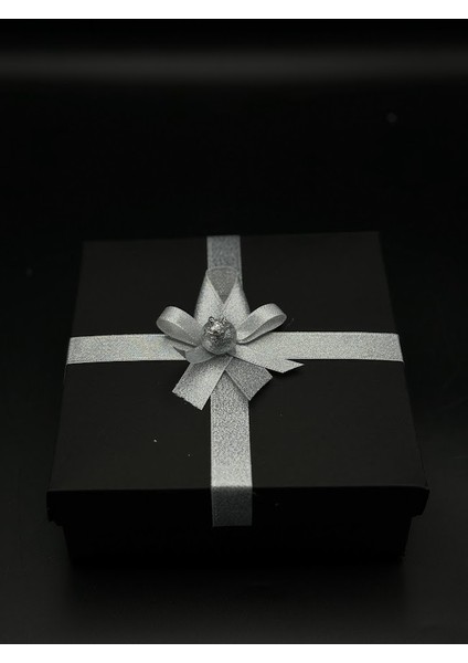 Kutu Içerisinde Doğaltaş Kolye ve Paslanmaz Çelik Charmlı Pandora Bileklik fiyatları