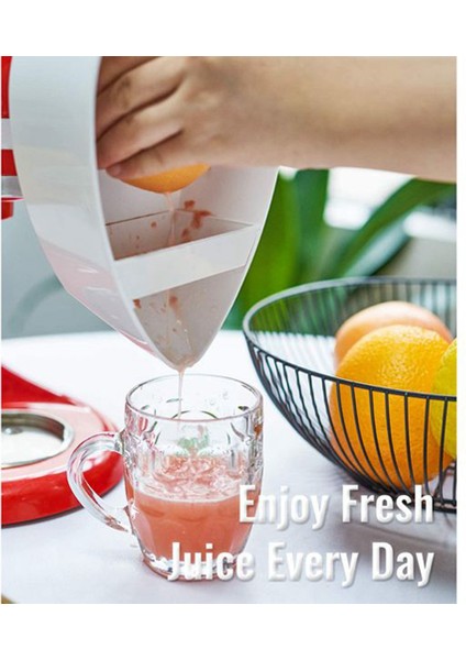 Kitchenaid Için Meyve Sıkacağı Aparatı Kitchenaid Için Stand Mikser Meyve Sıkacağı (Yurt Dışından)