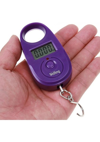 25KG * 5g Dijital Cep Terazisi Asılı Bagaj Tartı Balıkçılık Ağırlığı Tartı Cep Elektrikli Terazi Bascula Mini Denge Pesa (Yurt Dışından)