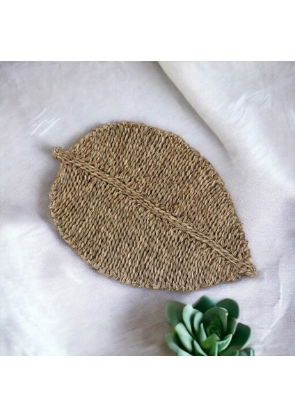 Doğal Deniz Sazı Duvar Dekoru Iskandinav Bohem Ev Dekorasyon 50X35CM Oceanpoint