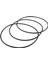 Water 151122 Big Blue Oring Buna-N Için Yedek O-Ringler (3 Paket) (Yurt Dışından) 2