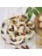 Adet Yumurta Toplama Sepeti 7 Torbalar ile Yumurta Toplama Sepeti Kanvas Yumurta Çantaları Yumurta Toplama Yumurta Çantaları (Yurt Dışından) 3