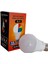 9W 2 W Rgb LED Ampul Gece Lambası 1