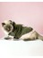 greenco Bunny Kapsonlu Sweatshirt Kedi Elbisesi Süeteri Kedi Kıyafeti 1