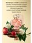 Eve Become Kadın Parfüm EDP İkili Set 50 ml 4