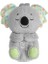 Fisher Price GRT59 Uyku Arkadaşı Koala 1