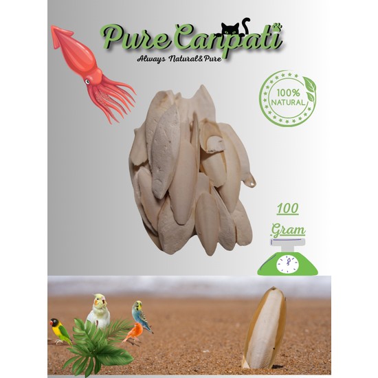 PureCanpati Kalamar Kemiği 100 Gram Ufak Boy Kırıklı Doğal Kalsiyum Kaynağı Kuşlar İçin