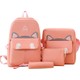  Renk Pembe