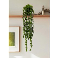 Lilac Home Yapay Çiçek Elmas Saksıda 80 cm Yoğun Yapraklı Koyu Yeşil Okaliptus Sarkıtı