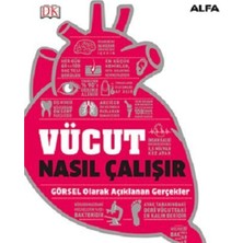 Vücut Nasıl Çalışır