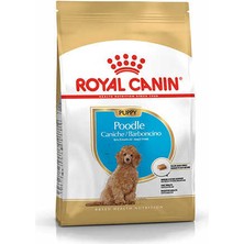 Royal Canin Poodle Junior Yavru Köpek Maması 3 kg