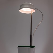 Gilli Store Kendiliğinden Sulanan Bitki Saksı LED Işıklı