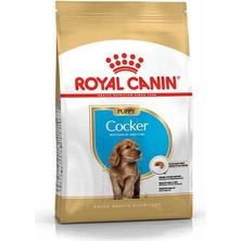 Royal Canin Cocker Junior Yavru Köpek Maması 3 kg