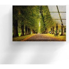 Myphotostation Doğa Manzarası Temperli Cam Duvar Tablosu
