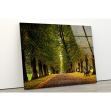 Myphotostation Doğa Manzarası Temperli Cam Duvar Tablosu