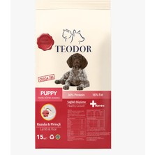 Teodor Puppy Yüksek Enerjili Kuzu-Pirinç Yavru Köpek Maması