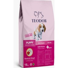 Teodor Puppy Kuzu-Pirinçli Yavru Köpek Maması